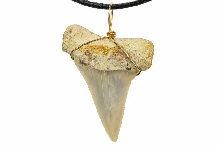 Fossil Mako Shark Tooth Necklace - Bakersfield, California #318854